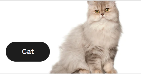 Big Offer on All Pet Food
