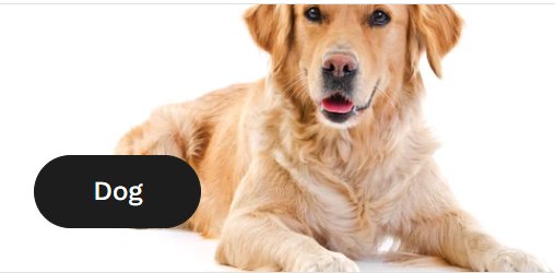 Big Offer on All Pet Food