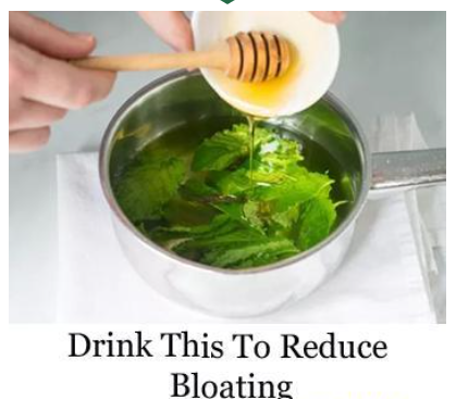 Growing herbs in a garden